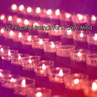 Regrowth For A Heavy Mind - Yoga Music