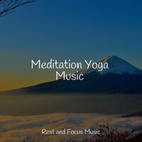 Level-headed - Classical Study Music & Music to Relax in Free Time & White Noise Sound Garden