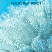 Passing Thunderstorm - Mother Nature Sound FX