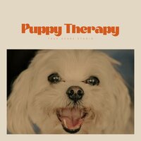 The Gentle Glance of the Grand Ocean from the Gallery - Music for Calming Dogs