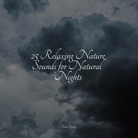 Splashing Rain - Rain Sounds Sleep & Nature Noise & Relaxing Sleep Sound