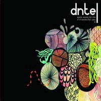 Paul Guitar - Dntel