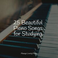 Tranquil Nights - Los Pianos Barrocos & Calm Music For Studying & RPM (Relaxing Piano Music)