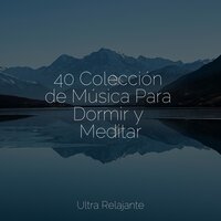 Me Siento Feliz - Dormir Mucho & Sonidos de la Naturaleza Relajacion & Música para Relajarse Profundamente