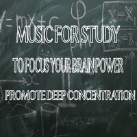 Piano Concerto No- 1 in E Major, Op- 11 III- Rondo- Vivace - Studying Piano Music