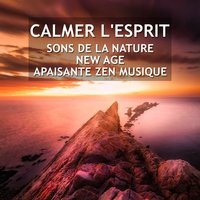 Relâchez la concentration - Musique Thérapeutique Naturelles