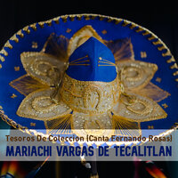 Los Arrallanes (Colombiana) - Mariachi Vargas de Tecalitlán