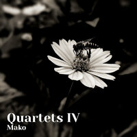 The Horse - Mako