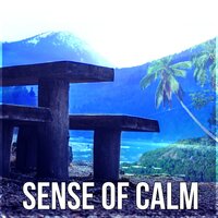 Sound Therapy (Nature Rain) - Calming Sounds Sanctuary