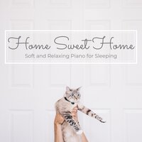 Smooth, Squishy Slumber - Piano Cats