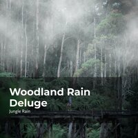 Downpour in the Woods - Nature and Rain & Deep Rain Sampling & Jungle Rain