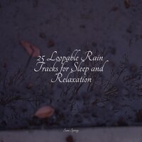 Birds in Twilight - The Rain Library & Lluvia & Binaural Beats