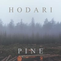 Stay Home - Hodari
