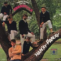Hanky Panky - Tommy James
