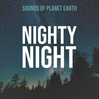 Night in the Forest with Asian Bells Wind Chimes - Sounds of Planet Earth