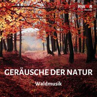 Beruhige dich - RW Erholsame Musik