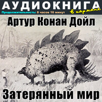 Глава XVII. Ну и заседание!, Чт. 3 - Аудиокнига в кармане & Максим Доронин