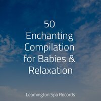 Nightfall - Nature Sounds Collection & Academia de Meditação Buddha & Chakra Balancing Sound Therapy