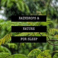 Thunderstorm and Rain Sounds - Body Memory