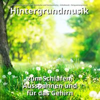 Töne gegen Kopfschmerzen - Entspannungsmusik zum Einschlafen und Durchschlafen & Schlafmusik & Entspannungsmusik