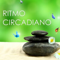 Dulce Noche de Descanso - Bienestar Maestro