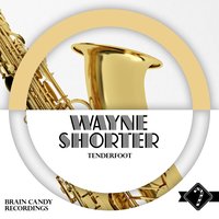 When Lights Are Low - Wayne Shorter & Freddie Hubbard & Art Blakey & Curtis Fuller