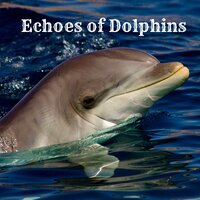 Waves of Meditation - Sound of Nature Library