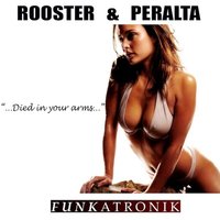 Died in your Arms - DJ Rooster & Sammy Peralta