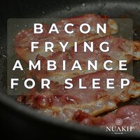 Pork Percussion, Pt. 59 (Loop Album) - White Noise Radiance & Bacon ASMR