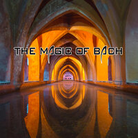 Cello suite No. 1 in G major - BWV 1007 Menuet I/II - NoLogo & Johann Sebastian Bach
