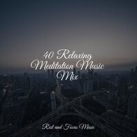 When I Fall Asleep - Ambiente & Tibetan Singing Bowls for Relaxation & Sleep Sound Library