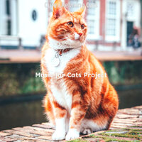 Understated (Cute Kittens) - Music for Cats Project