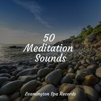 Sleep Aid - Calming Rainforest Sounds & Chakra Meditation Universe & White Noise Sound Garden