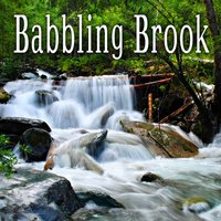 Medium Babbling Brook Flowing - Nature Lounge