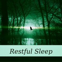 Just Breathe with Gentle River Stream - Deep Sleep Music Ensemble
