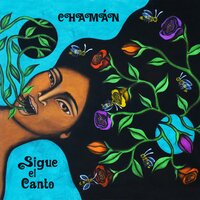 Guerrillero De Amor - Chaman