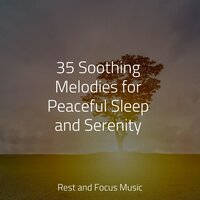 Leaves in the Wind - Musica relajante & Trouble Sleeping Music Universe & Pet Care Music Therapy