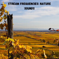 Chilling at the River - The Nature Soundscapes & Rivers and Streams & Concentration Music for Work
