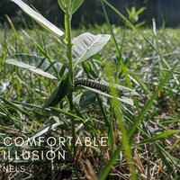 Comfortable Illusion - NELS