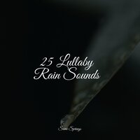 Calming Nature Bird Songs - Rain Sounds Sleep & Lullaby Rain & Baby Sleep Music