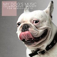 Quiet Sleep Music - Pet Music Doctor