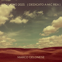 Pro e contro - Marco Gelonese