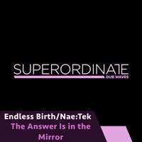 The Answer Is in the Mirror - Nae:Tek & Endless Birth