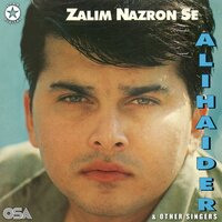 Jeenoori - Waris Baig