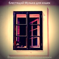 Чувство (Котята) - блестящий Музыка для кошек