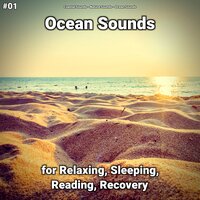 Ocean Sounds Part 86 - Coastal Sounds & Nature Sounds & Ocean Sounds
