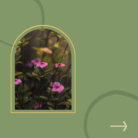 Astonishing Ambience for Calm Times - Cafe Music Deluxe