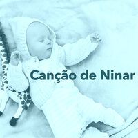 Sons da Natureza - Silva Embalar