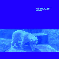 Eisbär - Yakooza