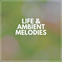Every Day Is Another Chance - Ambient Sample Library